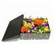 FLOWERS BOX