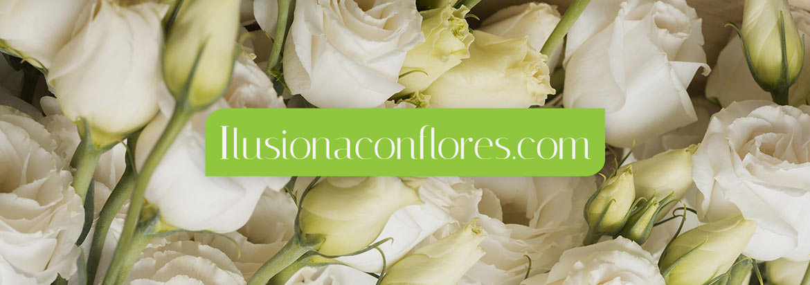 Floristerias en Universitario Gregorio Marañon